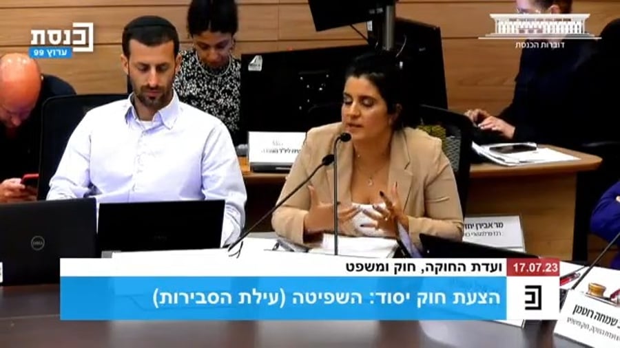 דבריה של היועמ"שית, היום בוועדה