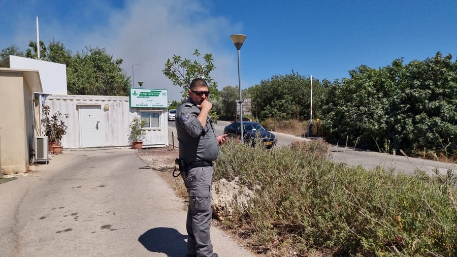 הושגה שליטה בשריפה בהרי ירושלים סמוך לקיבוץ צובה | תיעוד