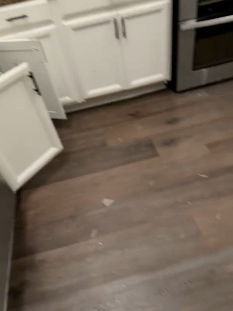 התיעוד מבית חב"ד