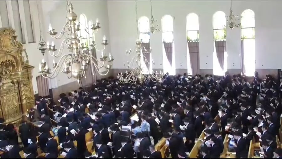 צפו בתיעוד מפוניבז'