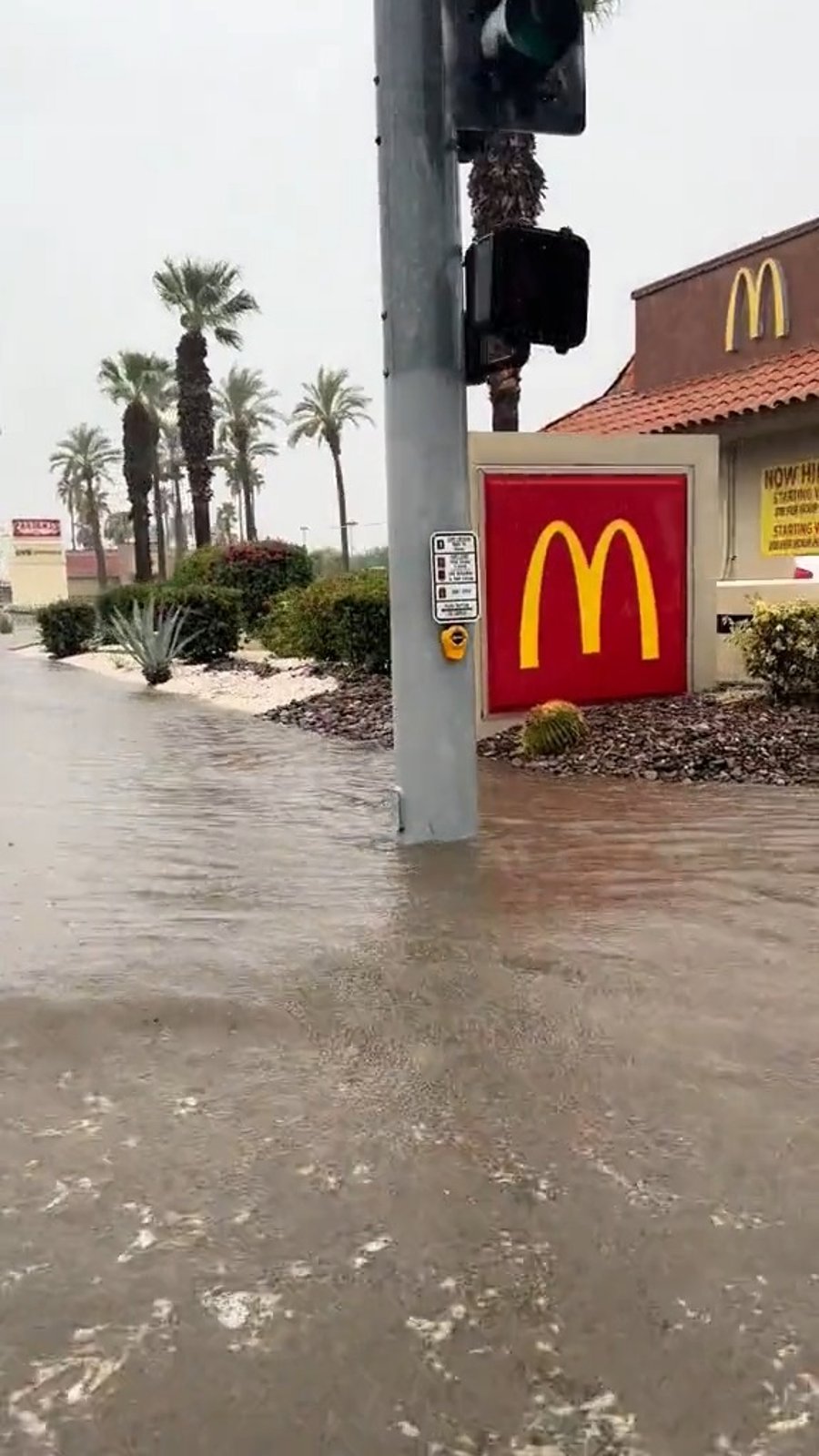 ההצפות בעיר 'פאלם ספרינגס'