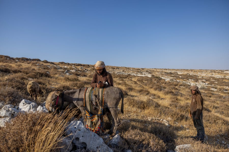 רועי צאן ליד רמת מגרון