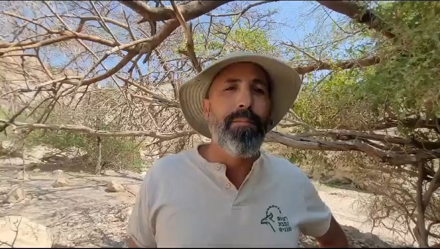 ליאור לב, סגן מנהל שמורת טבע עין גדי, מהזירה