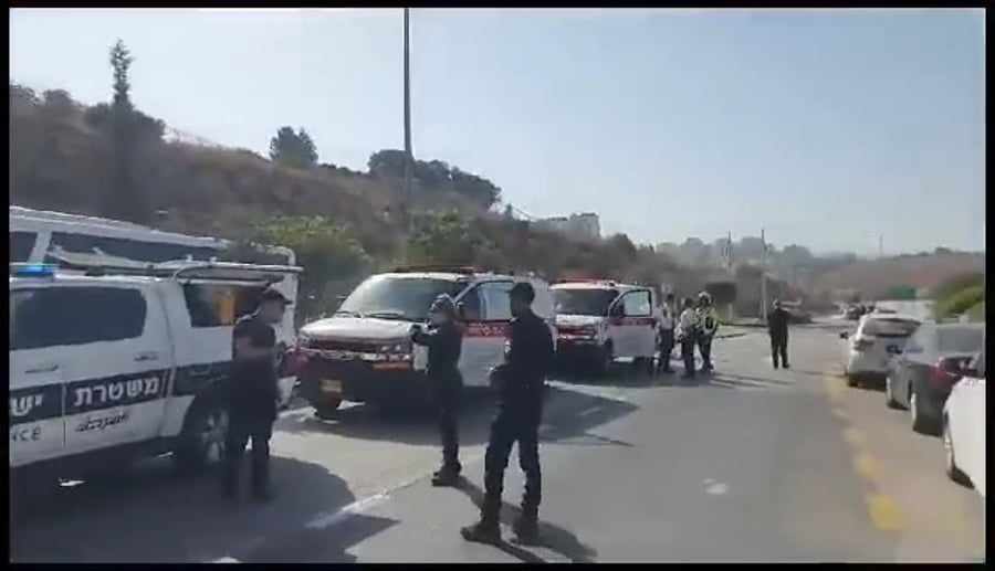 זירת הנטרול