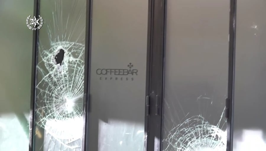 תיעוד האלימות