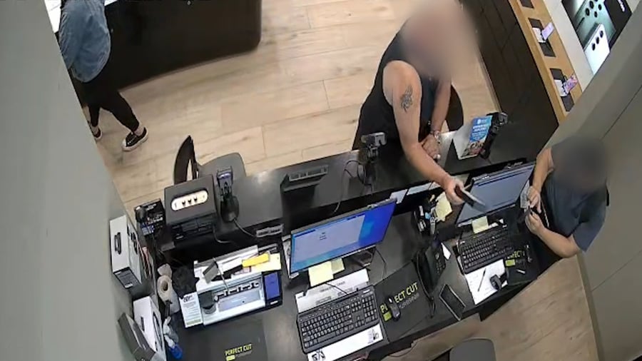 תיעוד הגניבה והאלימות