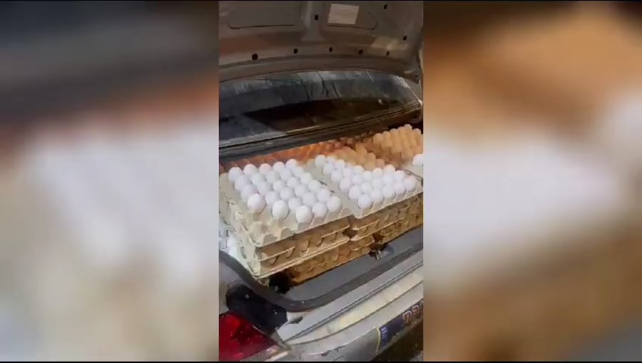 הביצים שנתפסו