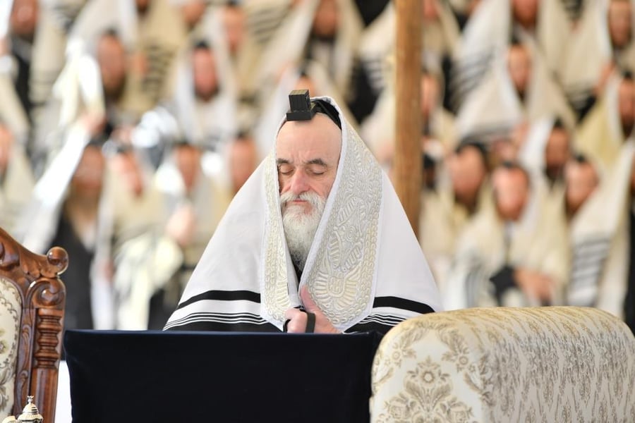 העדכון בקו של החסידות