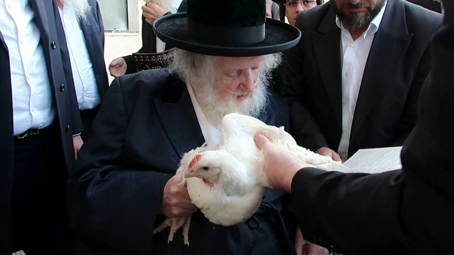 בכפרות על תרנגול בערב היום הקדוש