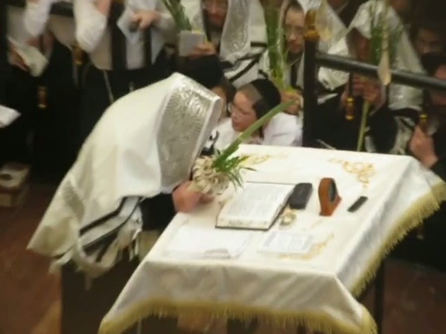 האדמו"ר מויז'ניץ בנטילת לולב