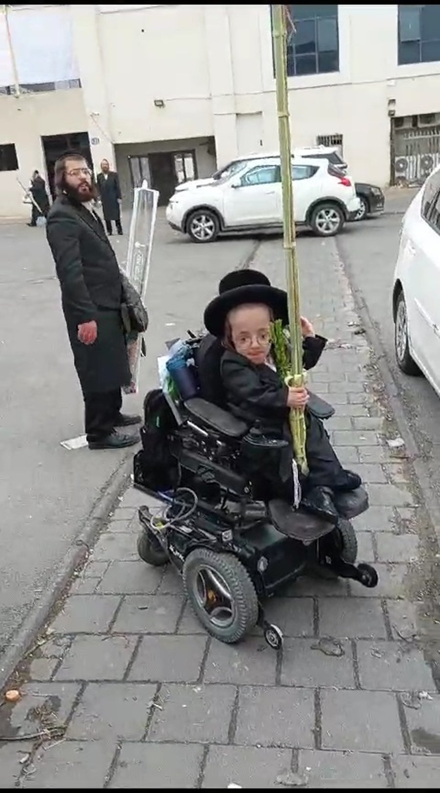 חזקי טורנהיים וארבעת המינים