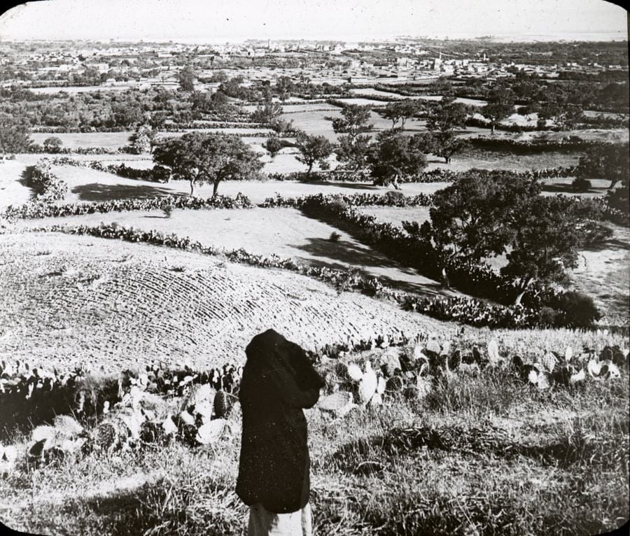 מראה העיר עזה מגבעת עלי מונטר בשנת 1910
