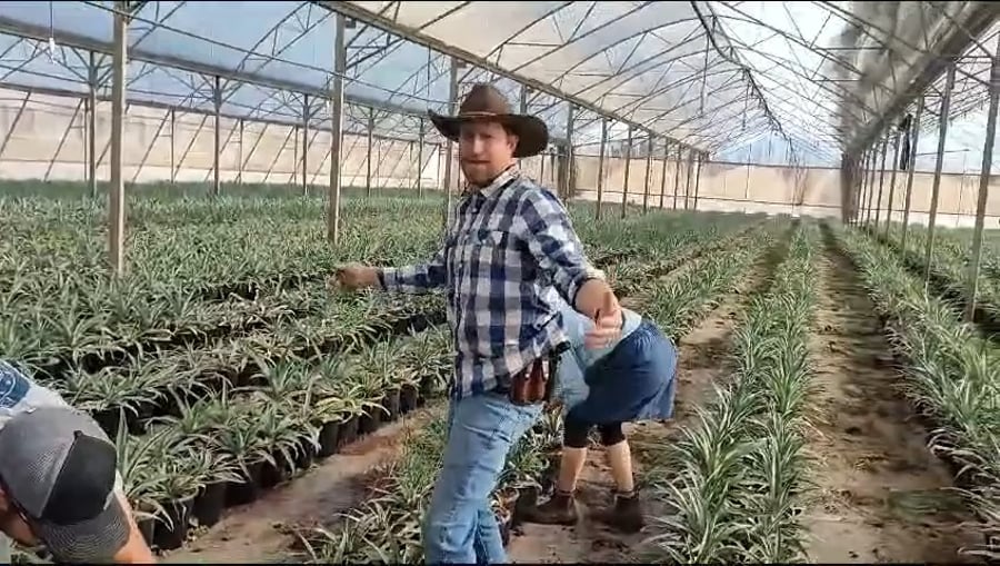 הבוקרים במשק, היום