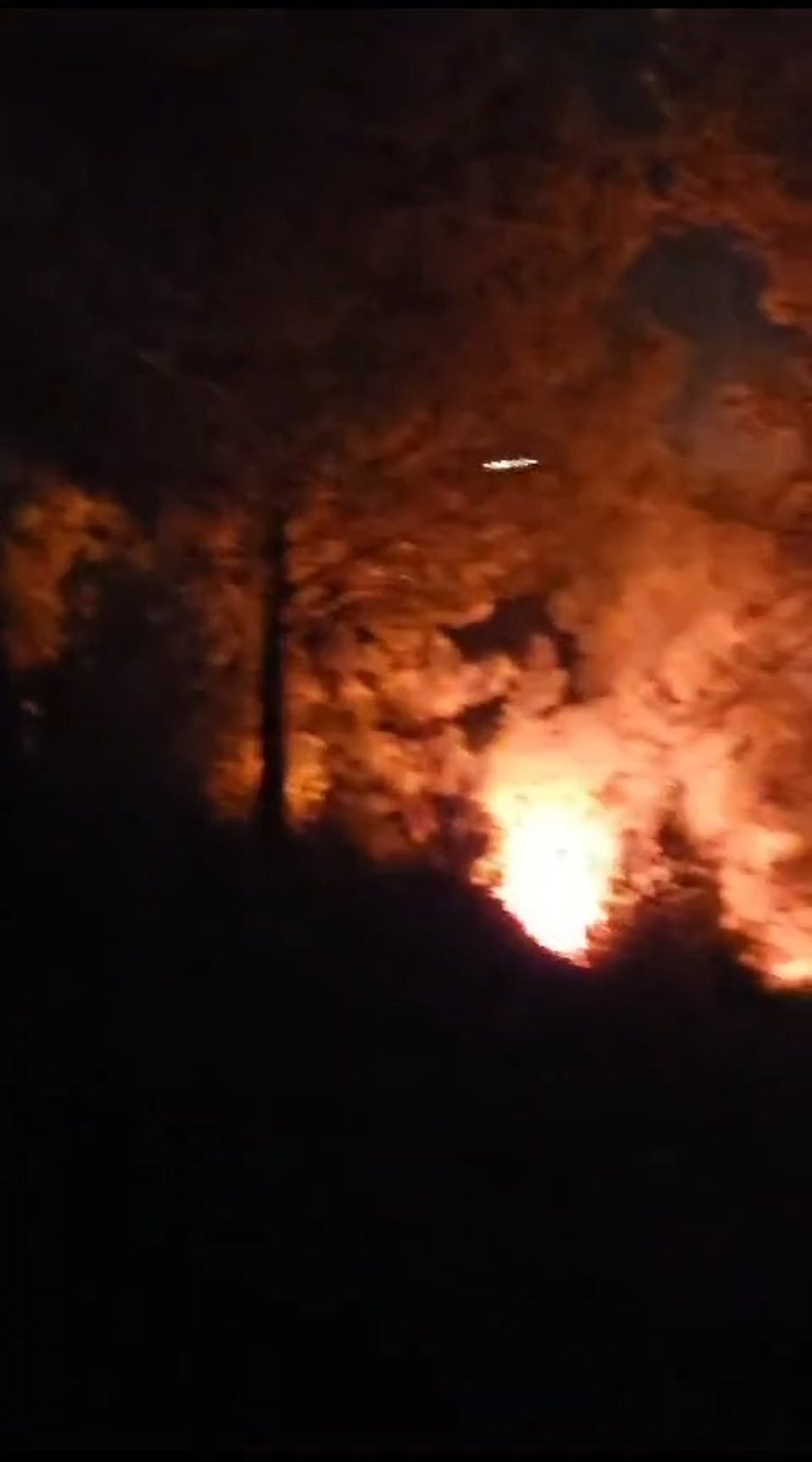 השריפה הערב