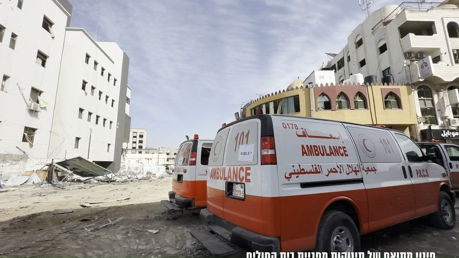 העברת התינוקות | תיעוד
