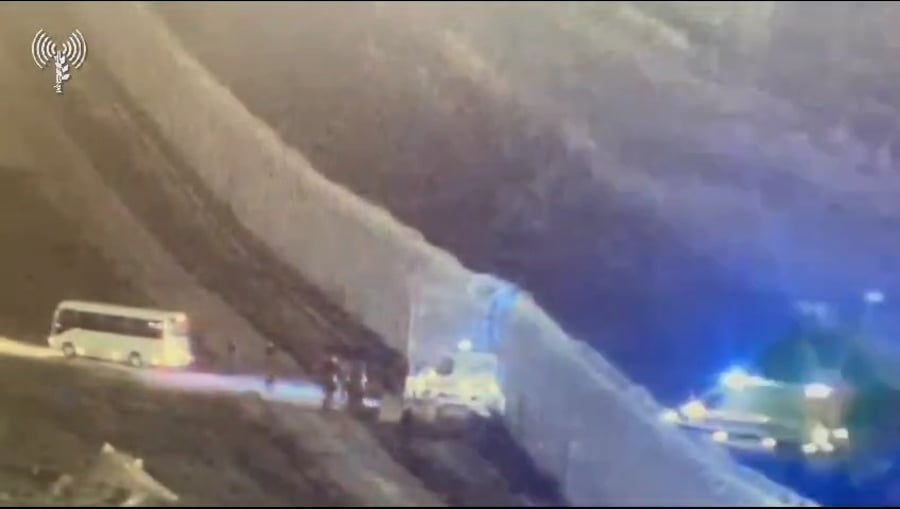 מגיעים לישראל