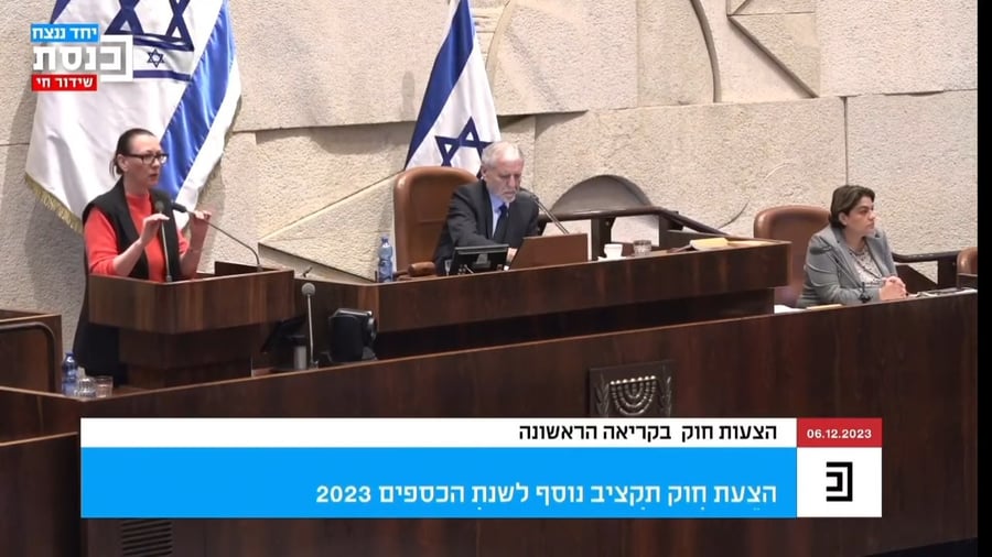 יוליה מלינובסקי מסבירה מעל דוכן המליאה