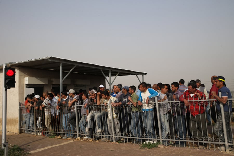 פועלים פלסטינים בכניסה לשטח ישראל | ארכיון
