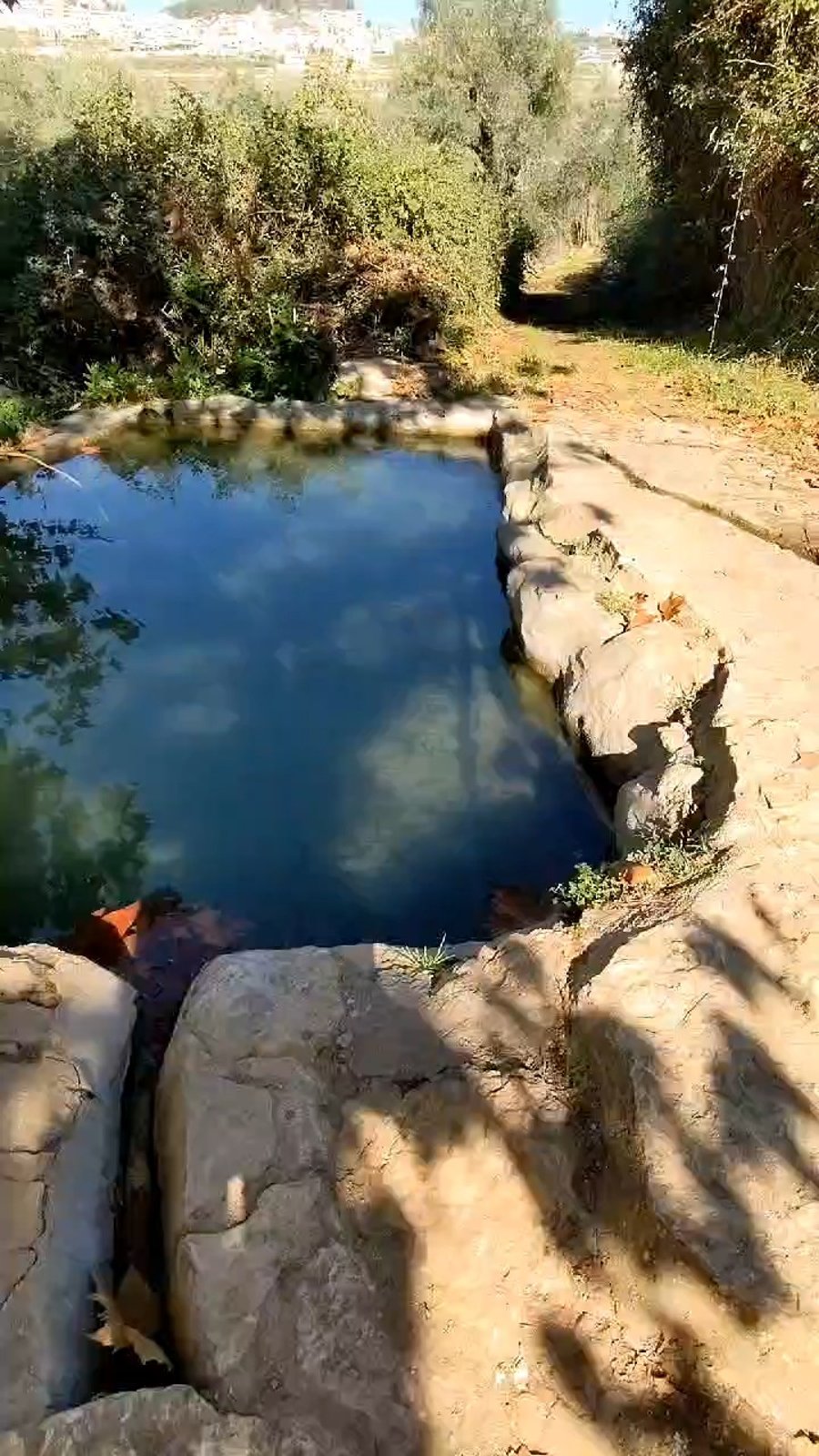 המעיין החדש בעיינות ענר