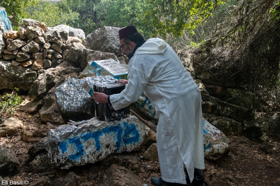 מתפלל בחג הפורים משתטח על קבר מרדכי ואסתר ביער ברעם