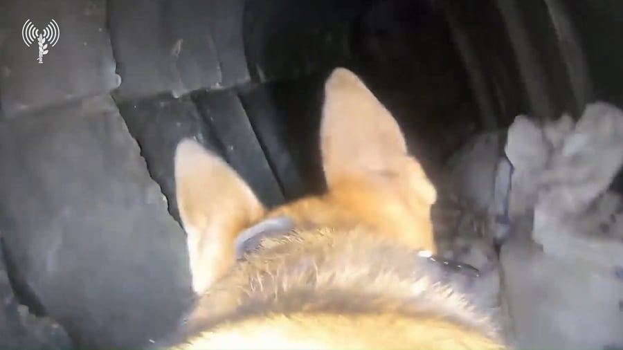 כלי עוקץ בתוך המנהרה