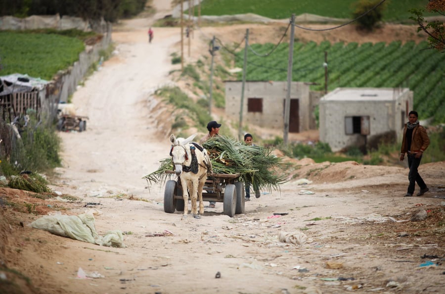 נערים פלסטינים בבית לאהיה, 2015