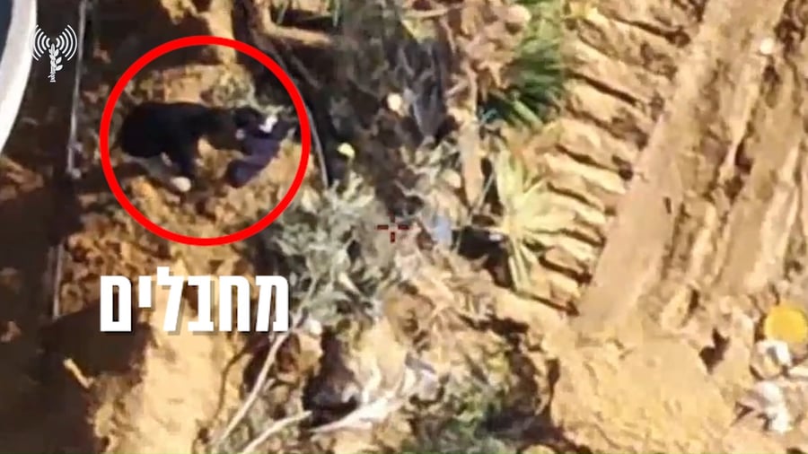 כניעת מחבלי הנוח׳בה