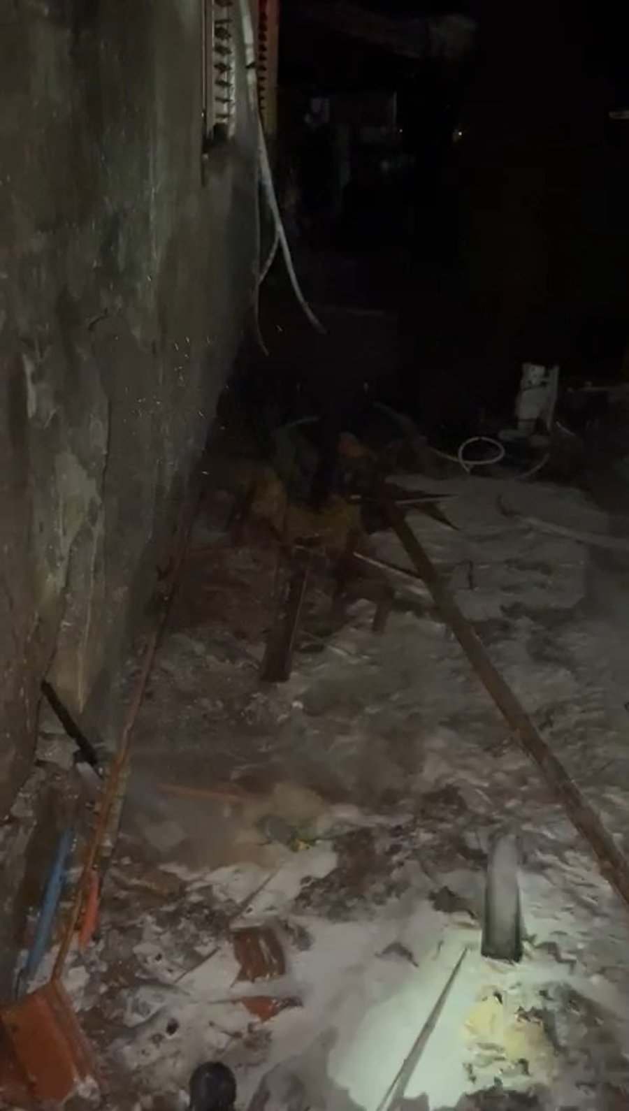 זירת הנפילה