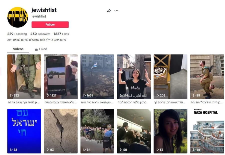 צילומי מסך מפלטפורמות הרשת הפיקטיביות שחשודות כי פועלות על ידי איראן