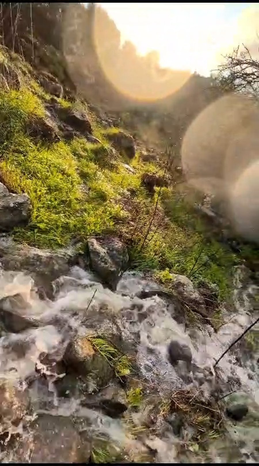 הזרימה בנחלי הצפון, השבוע