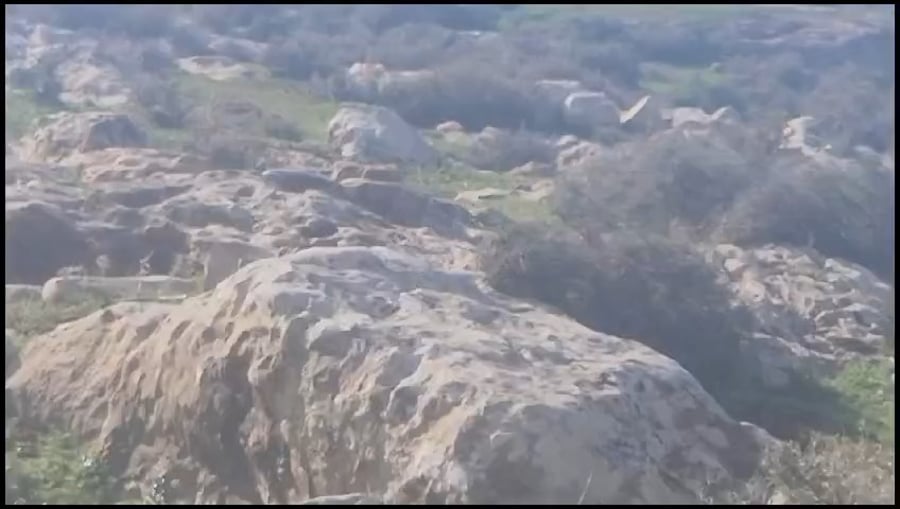 האימה השבת בבנימין