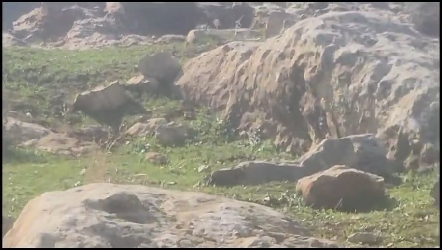 האימה השבת בבנימין