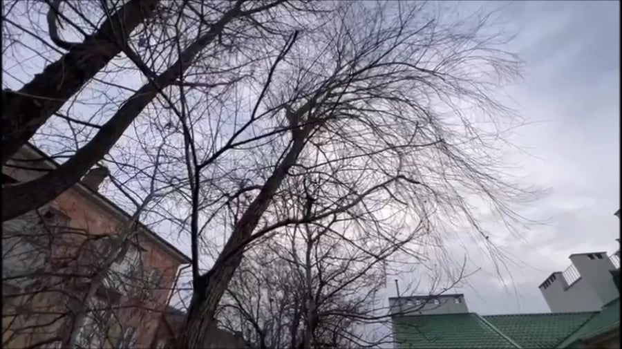 תיעוד מבית הכנסת בחרסון