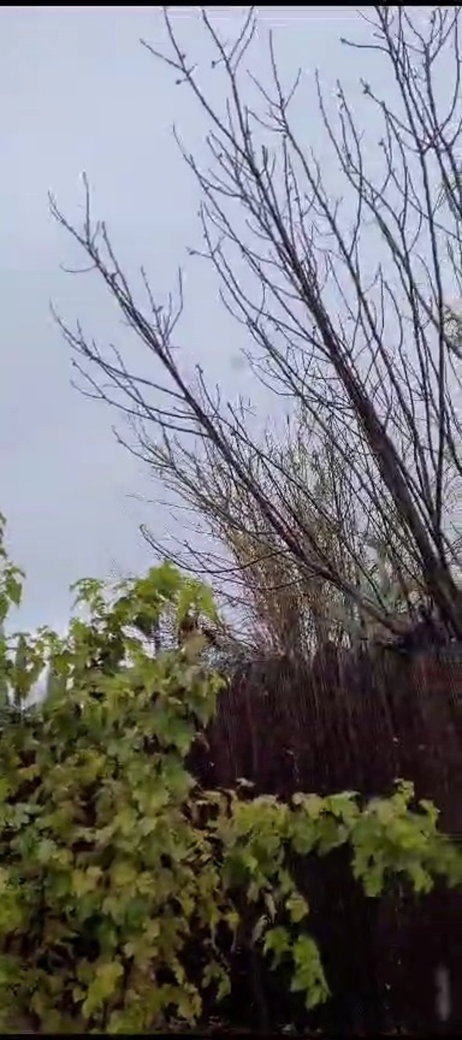 המטח לגליל - ברחבי הגליל נשמעו שריקות הרקטות