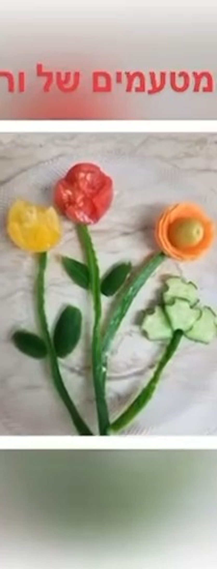 סידור ירקות