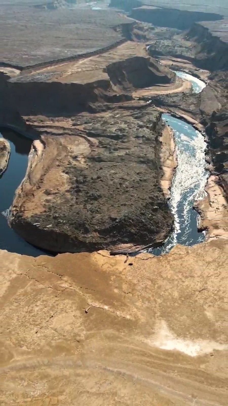 היער הסודי בים המלח