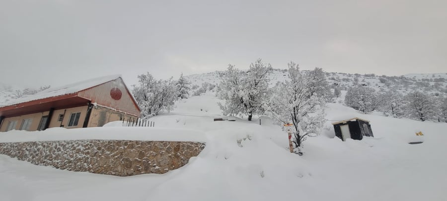 בחרמון - שלג לבן ובוהק | שיאים עונתיים בכנרת ובירדן • תיעוד מהחרמון