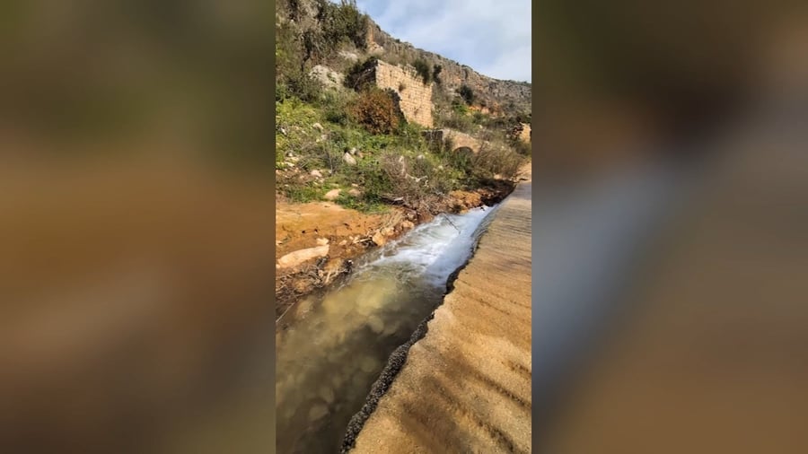 עין מַגְ'נוּנָה (עין יפעם)