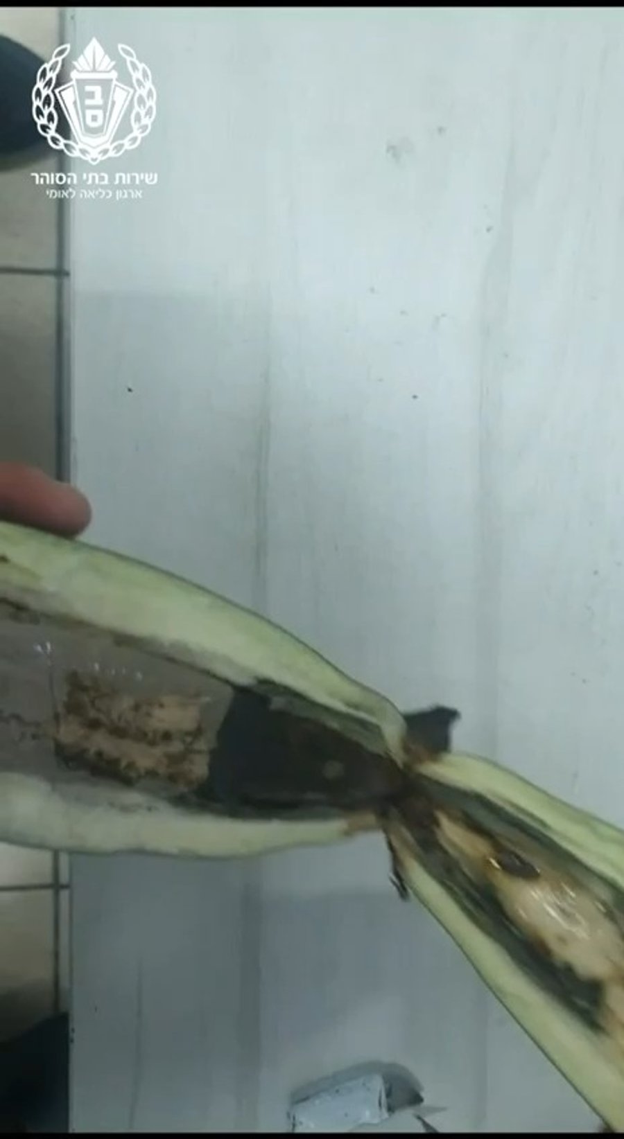 צפו במה שנמצא בתוך החציל