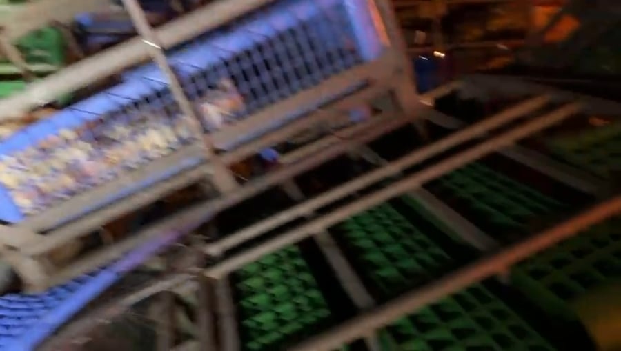 מאמצי החילוץ