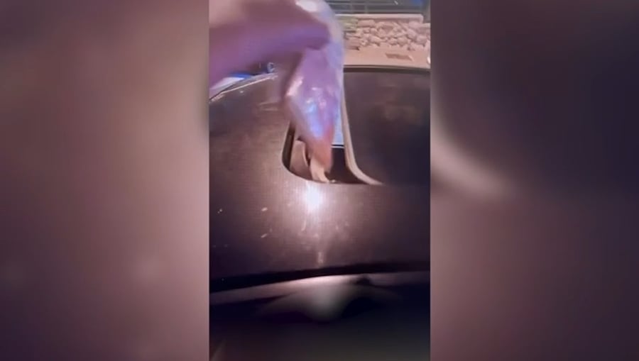 העברת הסמים | צפו