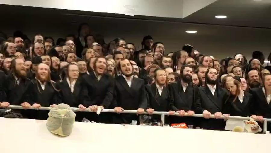 הבחורים והאברכים רוקדים | צפו