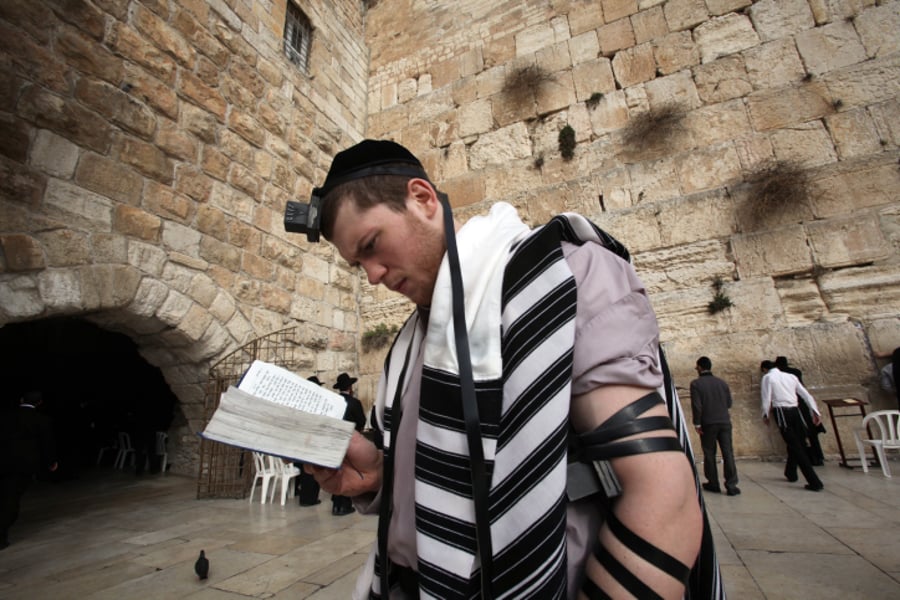צפו: המתאגרף היהודי מתפלל בכותל