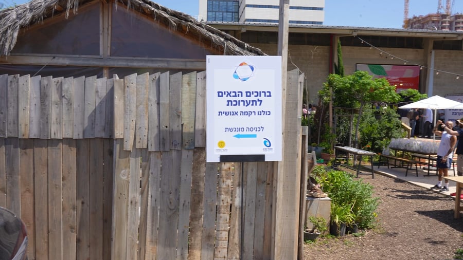 צפו בתערוכה 