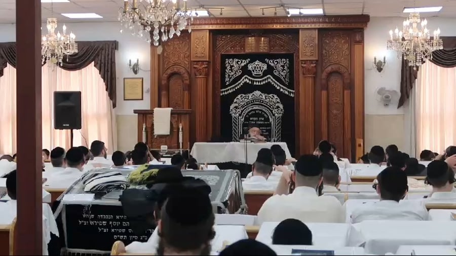 הגר"מ גריינמן בשיעור חול המועד