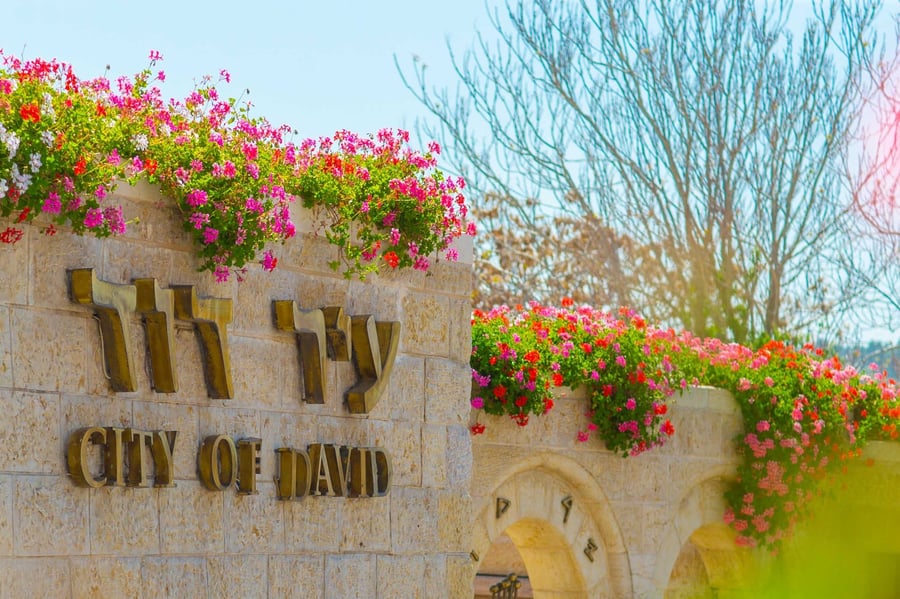 הכניסה  הראשית לעיר דוד
