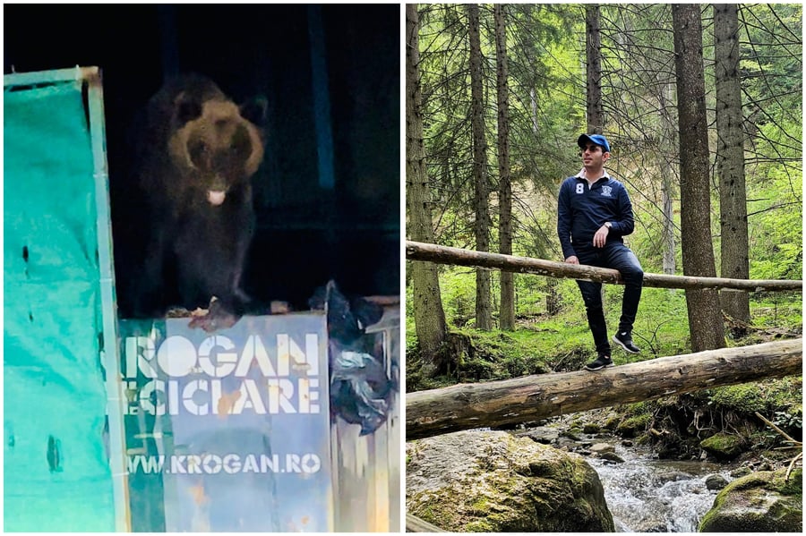 רולי דיקמן בחופשה והדוב התוקף