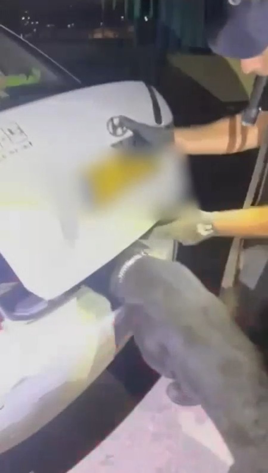 התפיסה המשטרתית