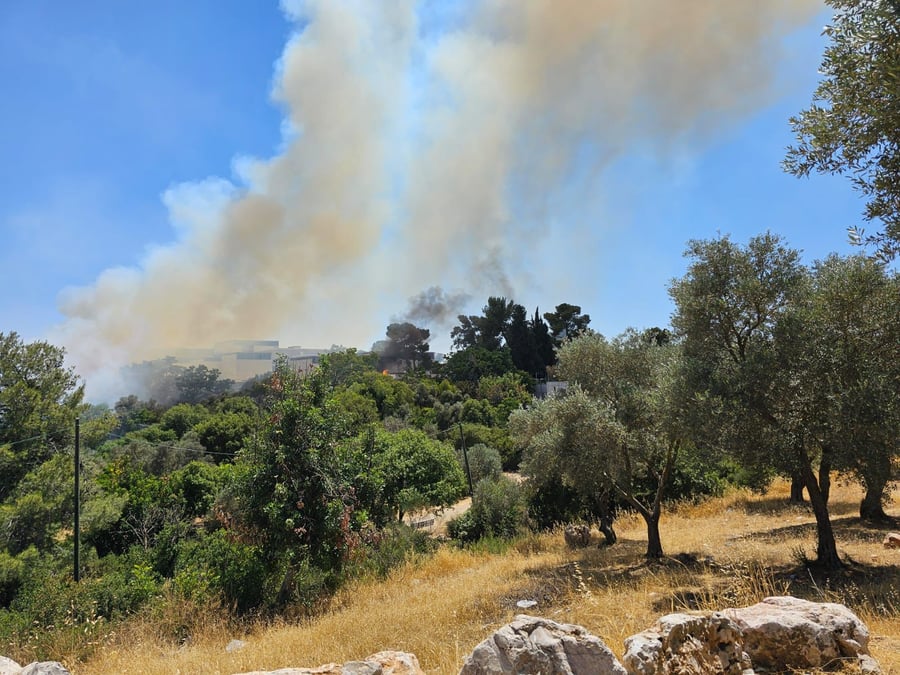 שריפת ענק בירושלים; מוזיאון ישראל פונה ממבקרים