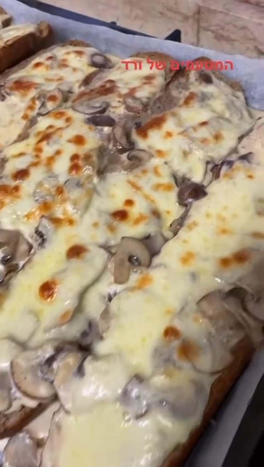 באגטים אלפרדו מוקרמים